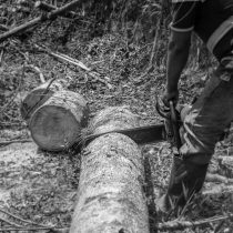 pexels-lrochadel-5902862